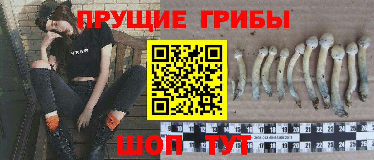 Галлюциногенные грибы MAGIC MUSHROOMS Ковров
