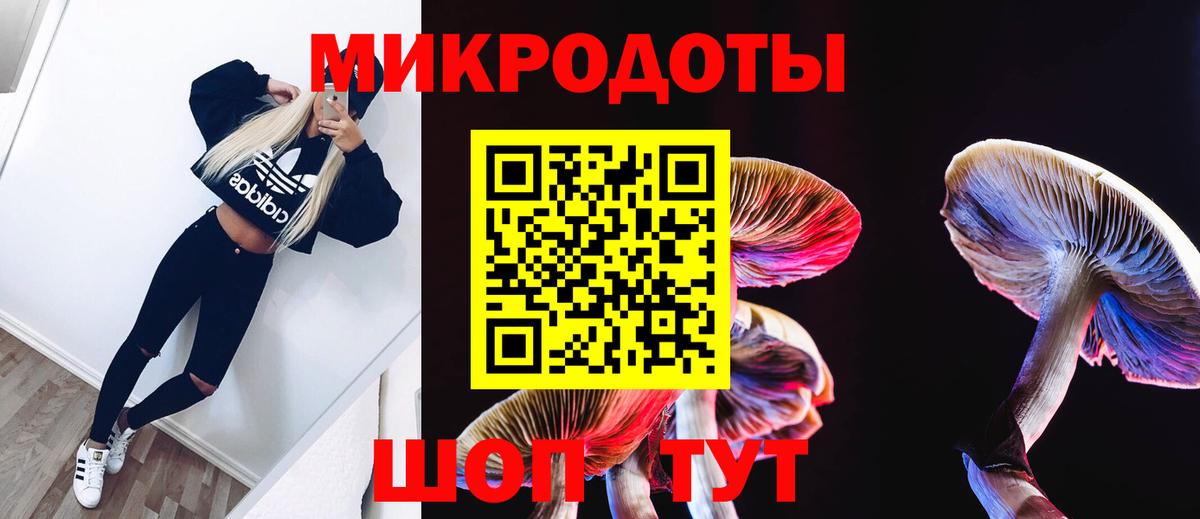 Псилоцибиновые грибы GOLDEN TEACHER  Вход с VPN  Галлюциногенные грибы Psilocybe  Ковров 